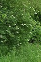 BUITEN BEELD Foto: 238812
