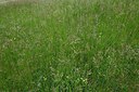 BUITEN BEELD Foto: 238830
