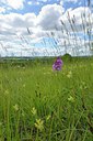 BUITEN BEELD Foto: 238832