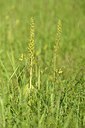 BUITEN BEELD Foto: 238845