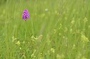 BUITEN BEELD Foto: 238877