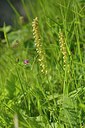 BUITEN BEELD Foto: 238888