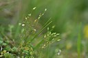 BUITEN BEELD Foto: 238893