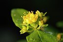 BUITEN BEELD Foto: 238957