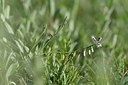 BUITEN BEELD Foto: 238991