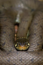 BUITEN BEELD Foto: 23078