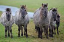BUITEN BEELD Foto: 23098