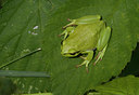 BUITEN BEELD Foto: 23130