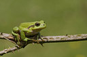 BUITEN BEELD Foto: 23131