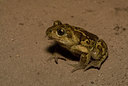 BUITEN BEELD Foto: 23140
