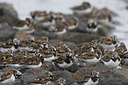 BUITEN BEELD Foto: 23160