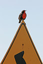 BUITEN BEELD Foto: 23192