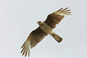 BUITEN BEELD Foto: 23213