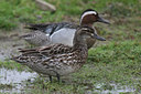 BUITEN BEELD Foto: 23218
