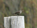 BUITEN BEELD Foto: 23281