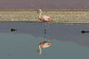 BUITEN BEELD Foto: 23344