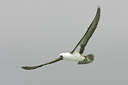 BUITEN BEELD Foto: 23375