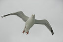 BUITEN BEELD Foto: 23384