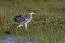 BUITEN BEELD Foto: 23411