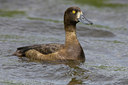 BUITEN BEELD Foto: 23425