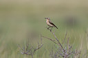BUITEN BEELD Foto: 23431