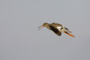 BUITEN BEELD Foto: 23432