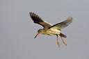 BUITEN BEELD Foto: 23434