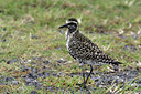 BUITEN BEELD Foto: 23450