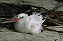 BUITEN BEELD Foto: 23459