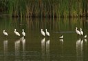 BUITEN BEELD Foto: 23487