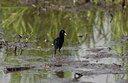 BUITEN BEELD Foto: 23493
