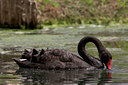 BUITEN BEELD Foto: 23532
