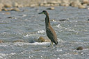BUITEN BEELD Foto: 23593