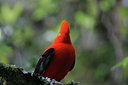 BUITEN BEELD Foto: 23595
