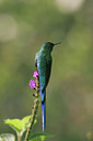 BUITEN BEELD Foto: 23600
