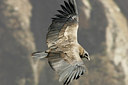 BUITEN BEELD Foto: 23615