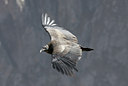 BUITEN BEELD Foto: 23621