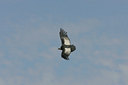 BUITEN BEELD Foto: 23632