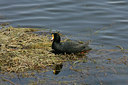 BUITEN BEELD Foto: 23645