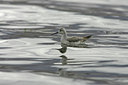 BUITEN BEELD Foto: 23652