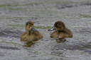 BUITEN BEELD Foto: 23658