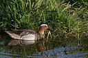 BUITEN BEELD Foto: 23680