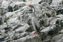 BUITEN BEELD Foto: 23733
