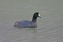 BUITEN BEELD Foto: 23763