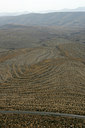 BUITEN BEELD Foto: 23768