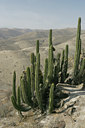 BUITEN BEELD Foto: 23769