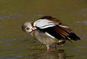 BUITEN BEELD Foto: 23787