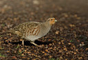 BUITEN BEELD Foto: 23794