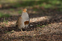 BUITEN BEELD Foto: 23798