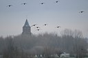 BUITEN BEELD Foto: 23830